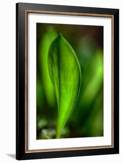 Only in Spring-Ursula Abresch-Framed Photographic Print