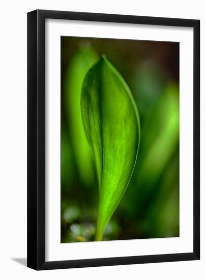 Only in Spring-Ursula Abresch-Framed Photographic Print