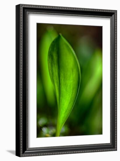 Only in Spring-Ursula Abresch-Framed Photographic Print