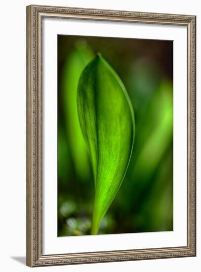 Only in Spring-Ursula Abresch-Framed Photographic Print