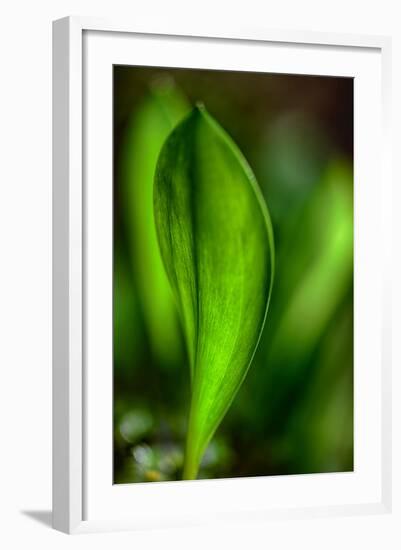 Only in Spring-Ursula Abresch-Framed Photographic Print