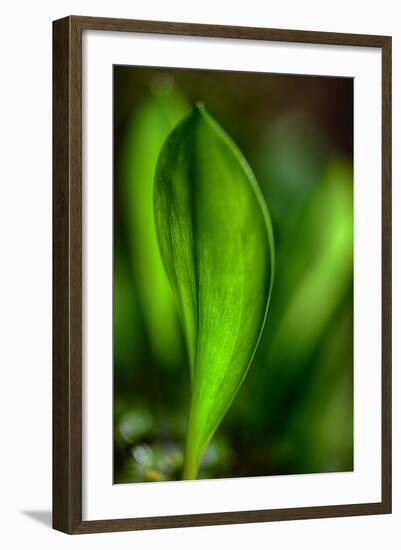 Only in Spring-Ursula Abresch-Framed Photographic Print