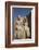 Only known Statue of King Tutankhamun on Left and Wife Queen Ankesenamun-Richard Maschmeyer-Framed Photographic Print