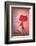 Only Love-Philippe Sainte-Laudy-Framed Photographic Print