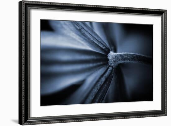 Only One Happiness-Philippe Sainte-Laudy-Framed Photographic Print