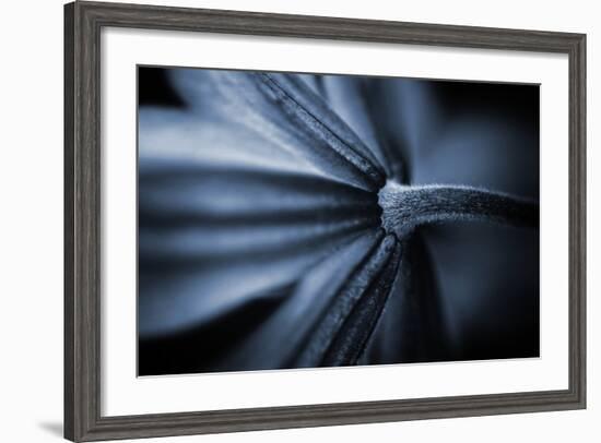 Only One Happiness-Philippe Sainte-Laudy-Framed Photographic Print