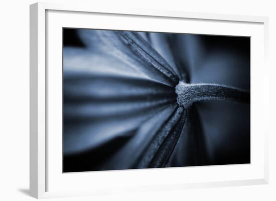 Only One Happiness-Philippe Sainte-Laudy-Framed Photographic Print