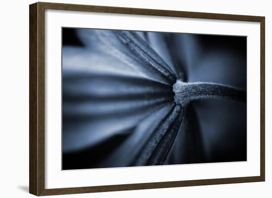 Only One Happiness-Philippe Sainte-Laudy-Framed Photographic Print