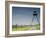 Only Section That Remains of Iron Curtain in Czech Republic, Podyji National Park-Richard Nebesky-Framed Photographic Print