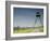 Only Section That Remains of Iron Curtain in Czech Republic, Podyji National Park-Richard Nebesky-Framed Photographic Print