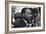 Only Two Weeks Since Jfk's Assassination, Martin Luther King, Met with President Lyndon Johnson-null-Framed Premium Photographic Print