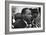 Only Two Weeks Since Jfk's Assassination, Martin Luther King, Met with President Lyndon Johnson-null-Framed Premium Photographic Print