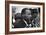 Only Two Weeks Since Jfk's Assassination, Martin Luther King, Met with President Lyndon Johnson-null-Framed Premium Photographic Print