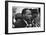 Only Two Weeks Since Jfk's Assassination, Martin Luther King, Met with President Lyndon Johnson-null-Framed Photo