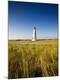 Premium Photographic Print