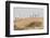 Onyx in desert. Abu Dhabi, UAE.-Tom Norring-Framed Photographic Print