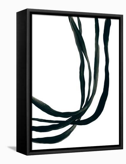 Onyx Ribbon I-June Vess-Framed Stretched Canvas