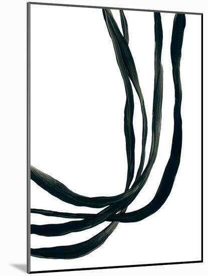 Onyx Ribbon I-June Vess-Mounted Art Print