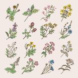 Seamless Pattern of Various Hand Drawn Herbs and Flowers-ONYXprj-Framed Art Print