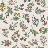 Seamless Pattern of Various Hand Drawn Herbs and Flowers-ONYXprj-Framed Art Print