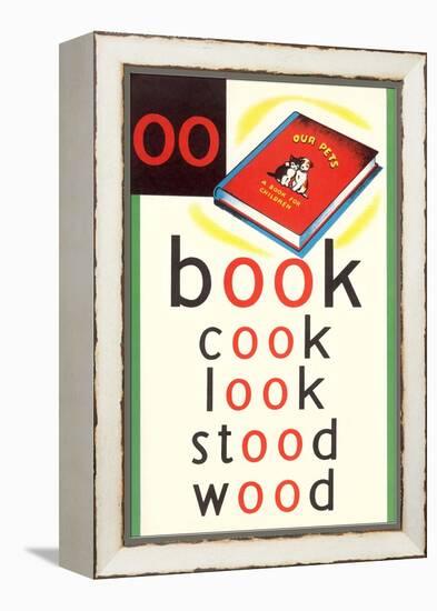 OO in Book-null-Framed Stretched Canvas