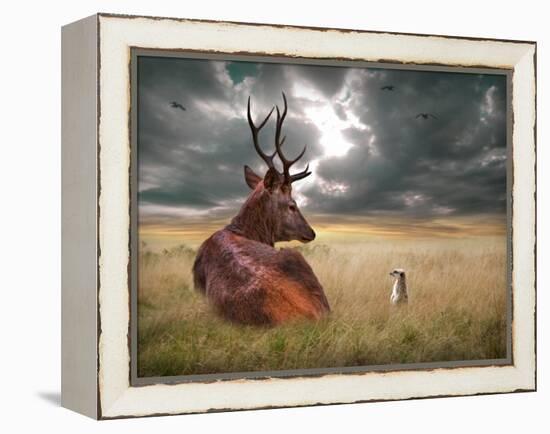 Oonder-Lynne Davies-Framed Premier Image Canvas