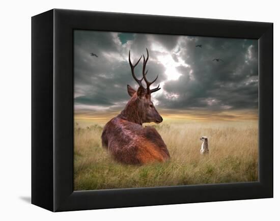 Oonder-Lynne Davies-Framed Premier Image Canvas