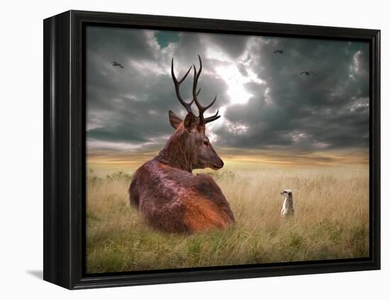 Oonder-Lynne Davies-Framed Premier Image Canvas