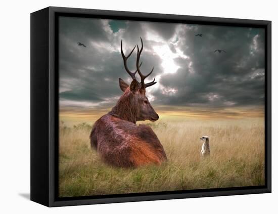 Oonder-Lynne Davies-Framed Premier Image Canvas