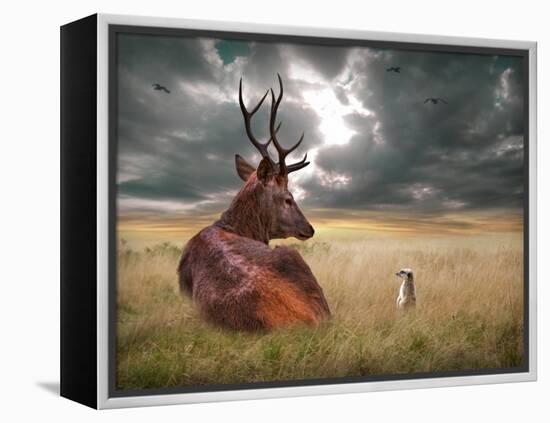 Oonder-Lynne Davies-Framed Premier Image Canvas