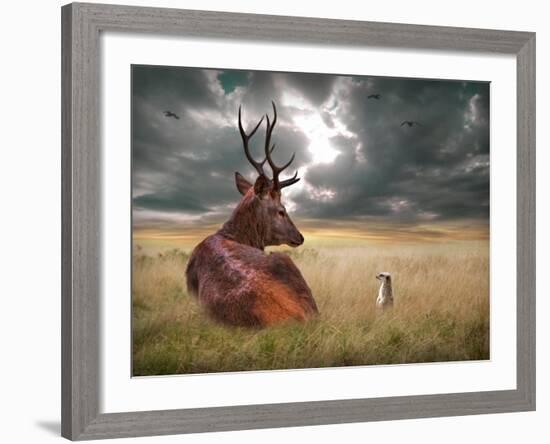 Oonder-Lynne Davies-Framed Photographic Print