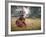 Oonder-Lynne Davies-Framed Photographic Print