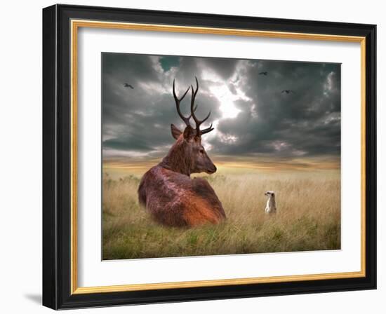 Oonder-Lynne Davies-Framed Photographic Print