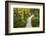 Opabin Plateau Trail Above Lake O'Hara, Yoho National Park, British Columbia, Canada-Russ Bishop-Framed Photographic Print