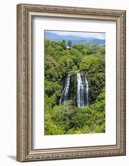 Opaekaa Falls, Kauai, Hawaii, United States of America, Pacific-Michael Runkel-Framed Photographic Print