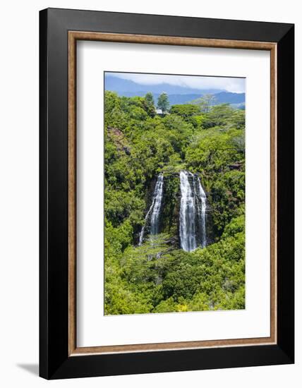 Opaekaa Falls, Kauai, Hawaii, United States of America, Pacific-Michael Runkel-Framed Photographic Print