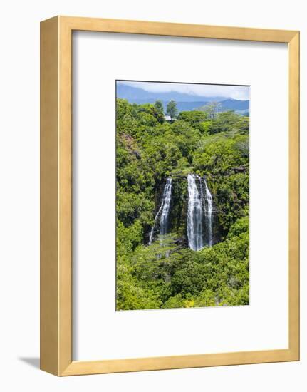 Opaekaa Falls, Kauai, Hawaii, United States of America, Pacific-Michael Runkel-Framed Photographic Print