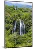 Opaekaa Falls, Kauai, Hawaii, United States of America, Pacific-Michael Runkel-Mounted Photographic Print