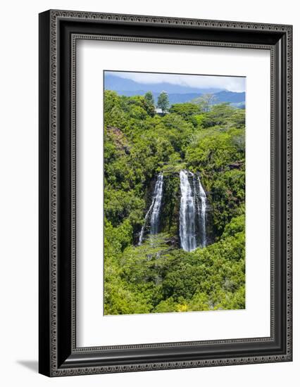 Opaekaa Falls, Kauai, Hawaii, United States of America, Pacific-Michael Runkel-Framed Photographic Print