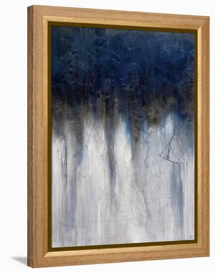 Opal III-Joshua Schicker-Framed Premier Image Canvas