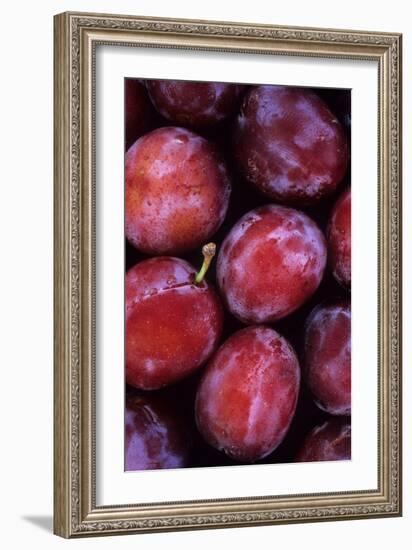 Opal Plums-Den Reader-Framed Photographic Print