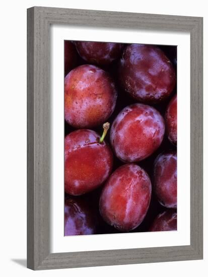 Opal Plums-Den Reader-Framed Photographic Print