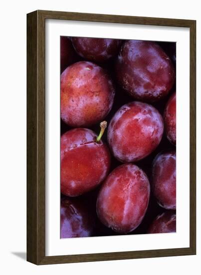 Opal Plums-Den Reader-Framed Photographic Print