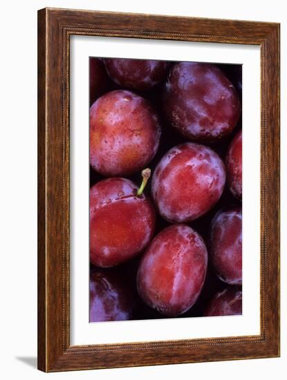 Opal Plums-Den Reader-Framed Photographic Print