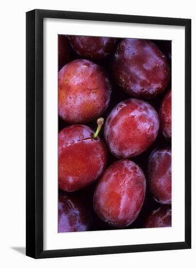 Opal Plums-Den Reader-Framed Photographic Print