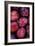 Opal Plums-Den Reader-Framed Photographic Print