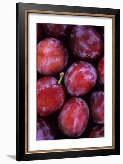 Opal Plums-Den Reader-Framed Photographic Print