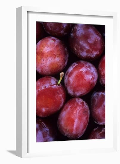 Opal Plums-Den Reader-Framed Photographic Print