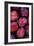 Opal Plums-Den Reader-Framed Photographic Print