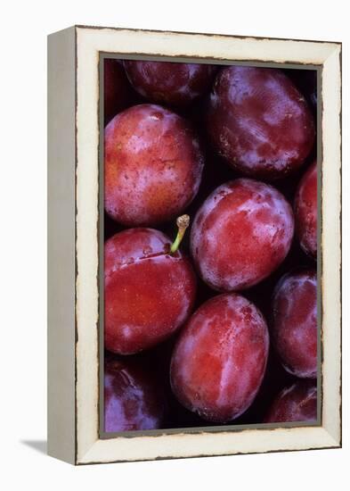 Opal Plums-Den Reader-Framed Premier Image Canvas